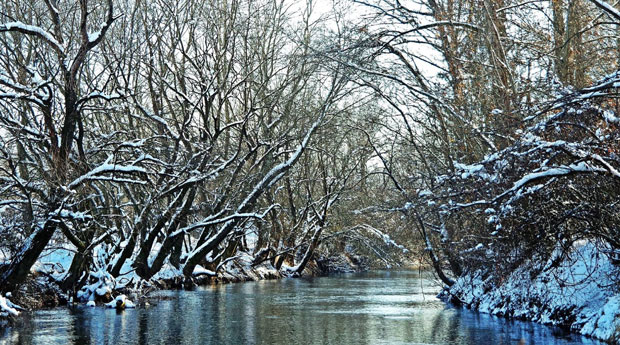 МИНИ ХИДРОЕЛЕКТРАНА У ВОЈВОДИНИ: Румуни против копања канала